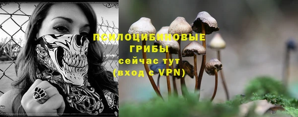ALPHA PVP Карталы