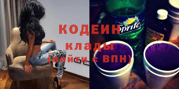 молекула духа Карпинск