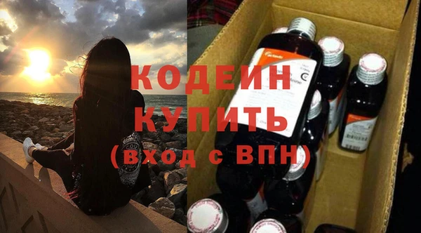 молекула духа Карпинск