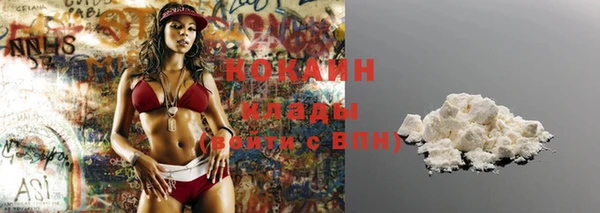 молекула духа Карпинск