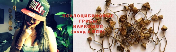 молекула духа Карпинск